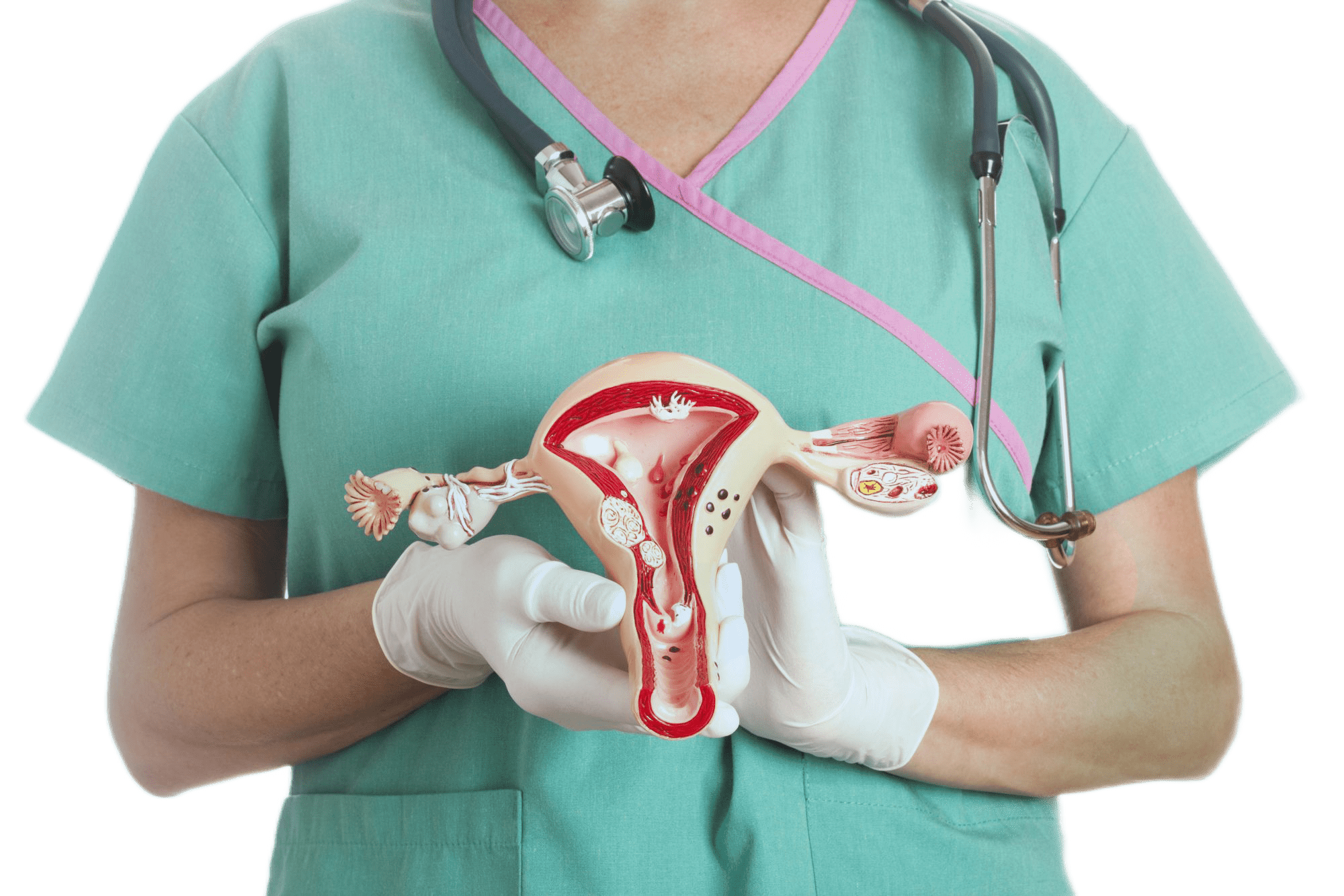 Ежегодное обследование женщин Ежегодное обследование женщин