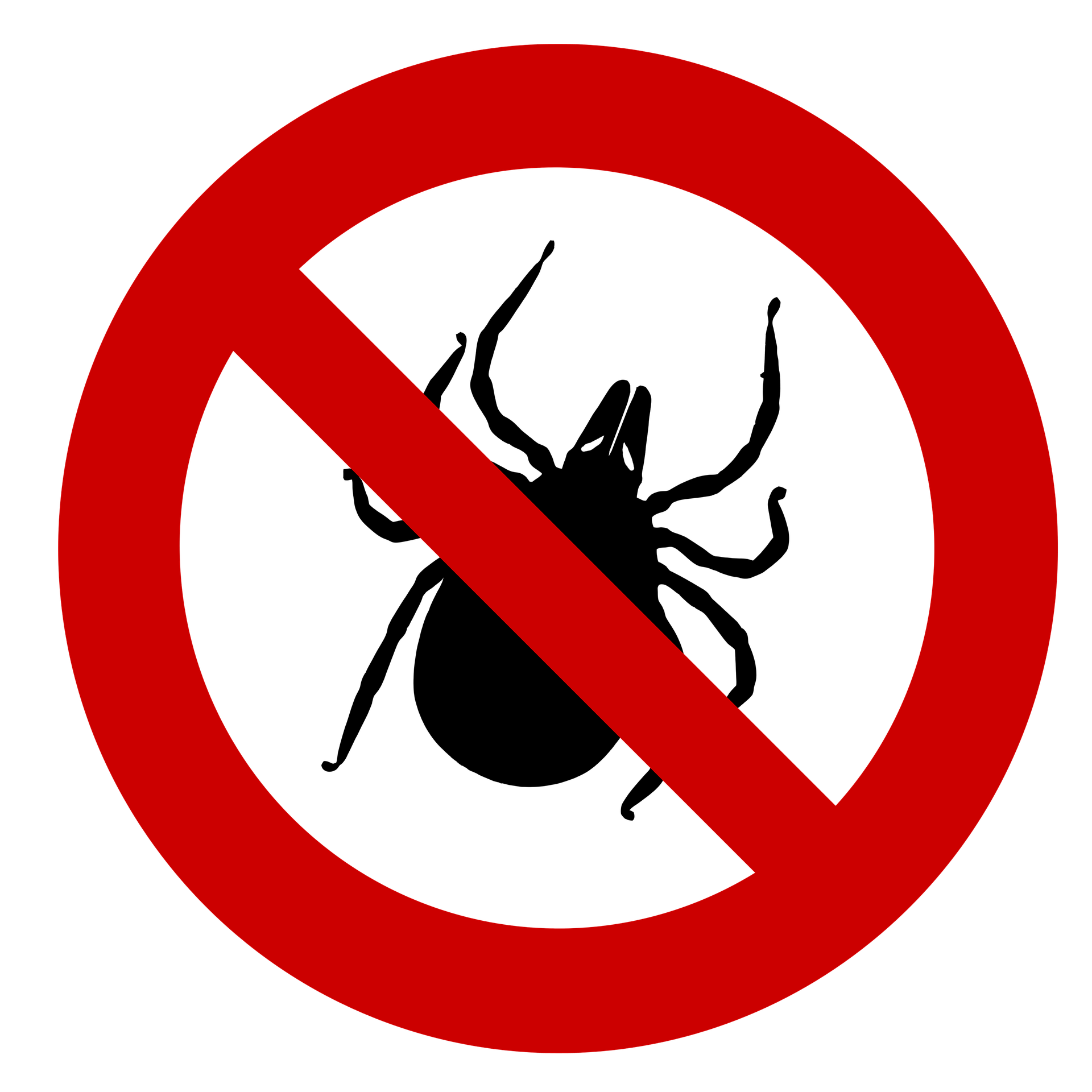 Удаление клеща и сдача на анализ